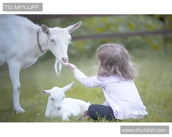 独特风格与个性魅力并存的足球明星们的精彩人生与成就分析 独特风格与个性魅力并存的足球明星们的精彩人生与成就分析
