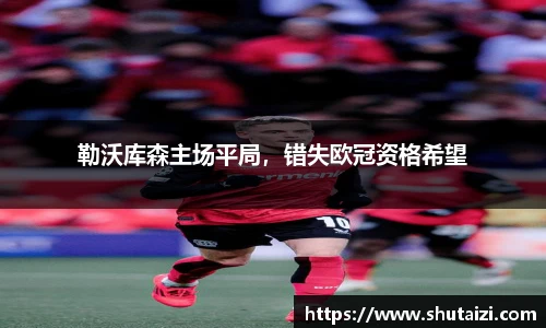 勒沃库森主场平局，错失欧冠资格希望